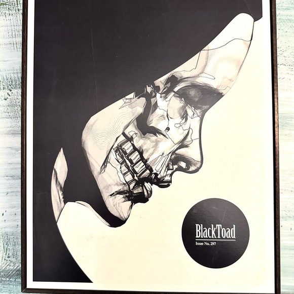 Eyes on Walls Black Toad Art Frame Blocked - Picture 2 of 4